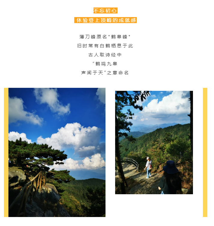秋天了，來一場成年人的秋游吧(圖2)