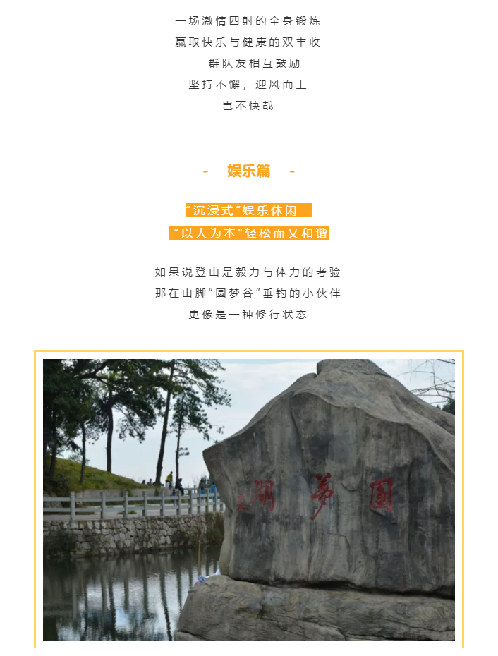 秋天了，來一場成年人的秋游吧(圖4)