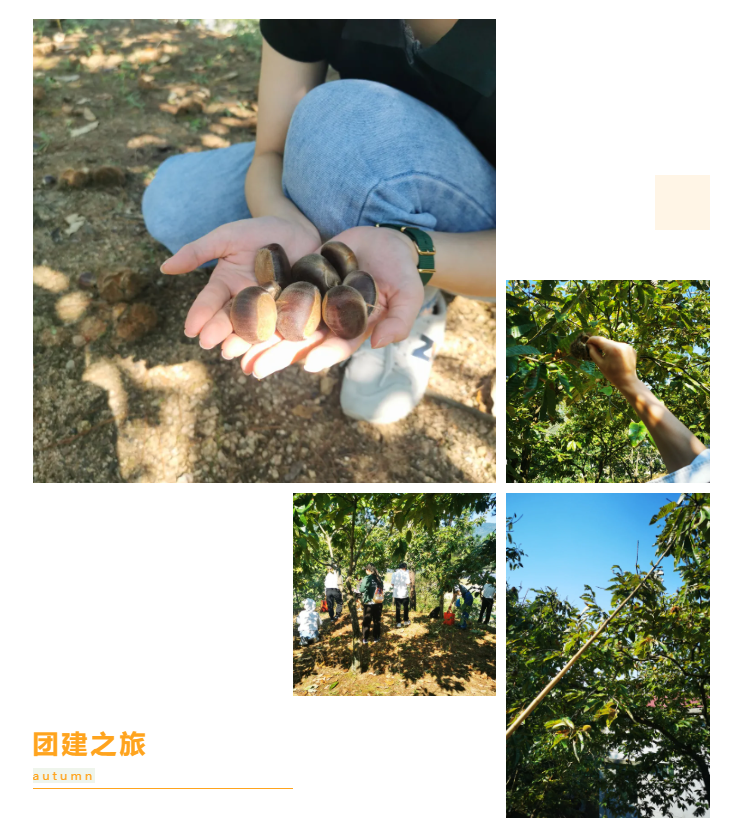 秋天了，來一場成年人的秋游吧(圖6)